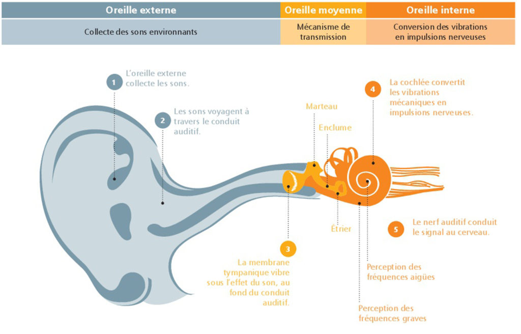 comment faire le tour d'oreille